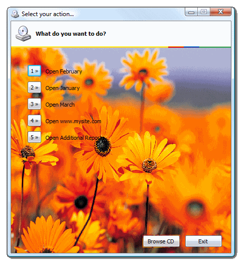 Autorun menu with a background